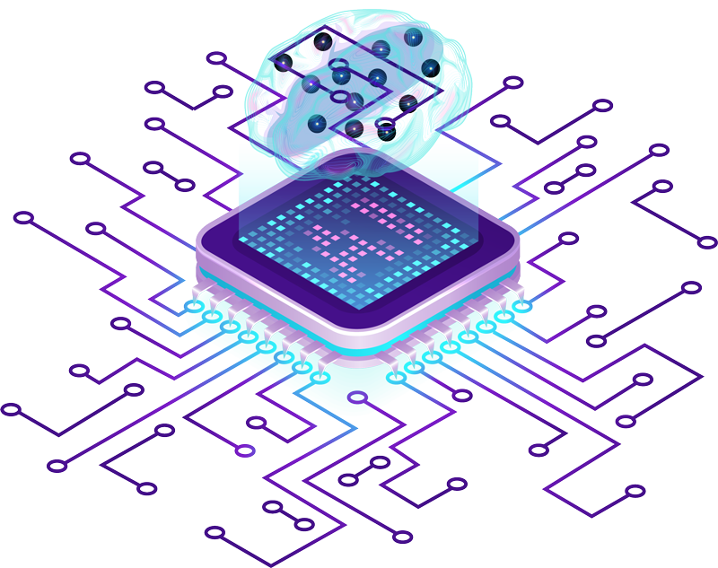 brain